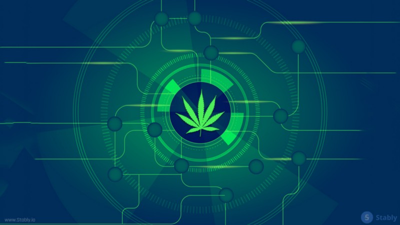 Are Stablecoins the Solution to the Cannabis Payment Crisis? - Stably